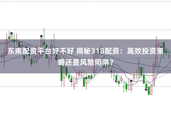 东南配资平台好不好 揭秘318配资：高效投资策略还是风险陷阱？