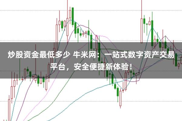 炒股资金最低多少 牛米网：一站式数字资产交易平台，安全便捷新体验！