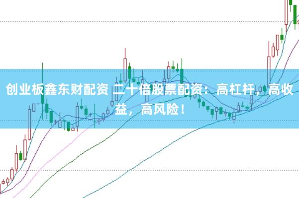 创业板鑫东财配资 二十倍股票配资：高杠杆，高收益，高风险！