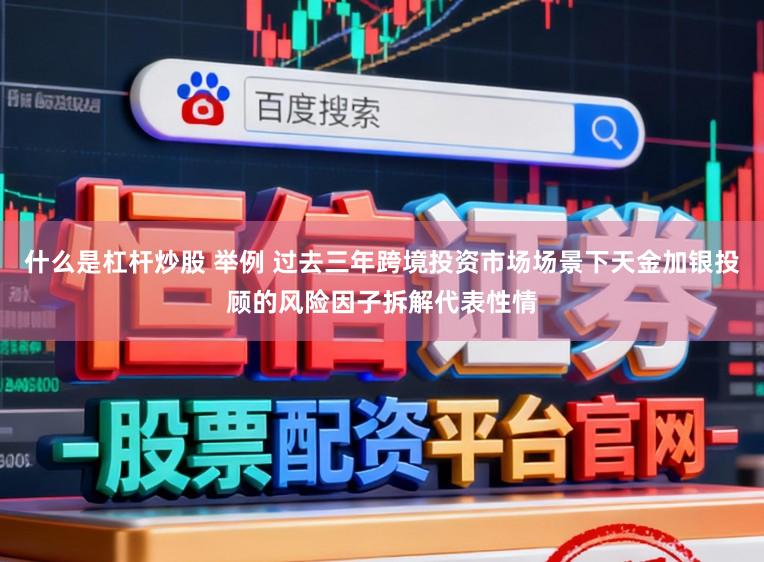 什么是杠杆炒股 举例 过去三年跨境投资市场场景下天金加银投顾的风险因子拆解代表性情